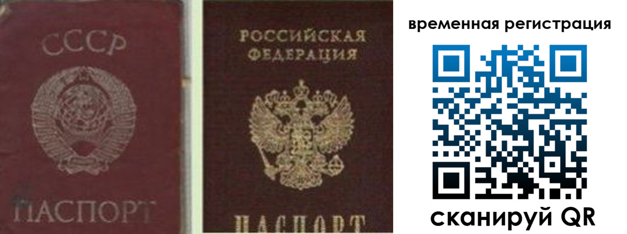 найти адрес прописки в Купино